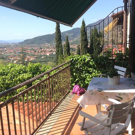 Belvedere 10 Pietrasanta Zewnętrze zdjęcie
