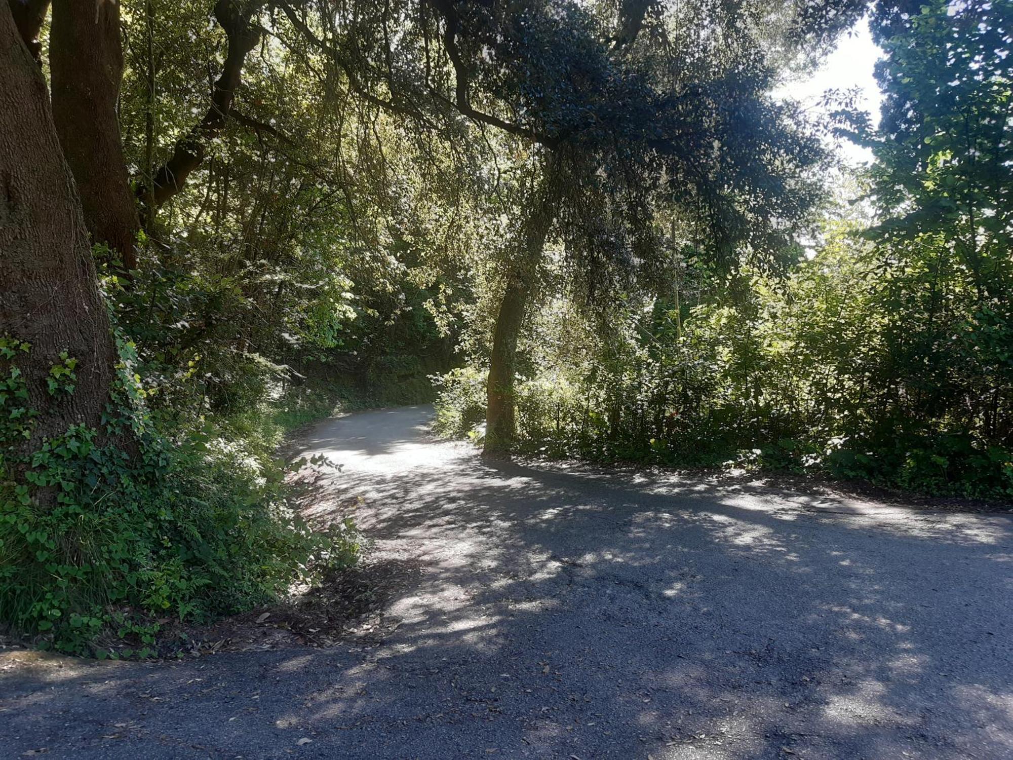 Belvedere 10 Pietrasanta Zewnętrze zdjęcie