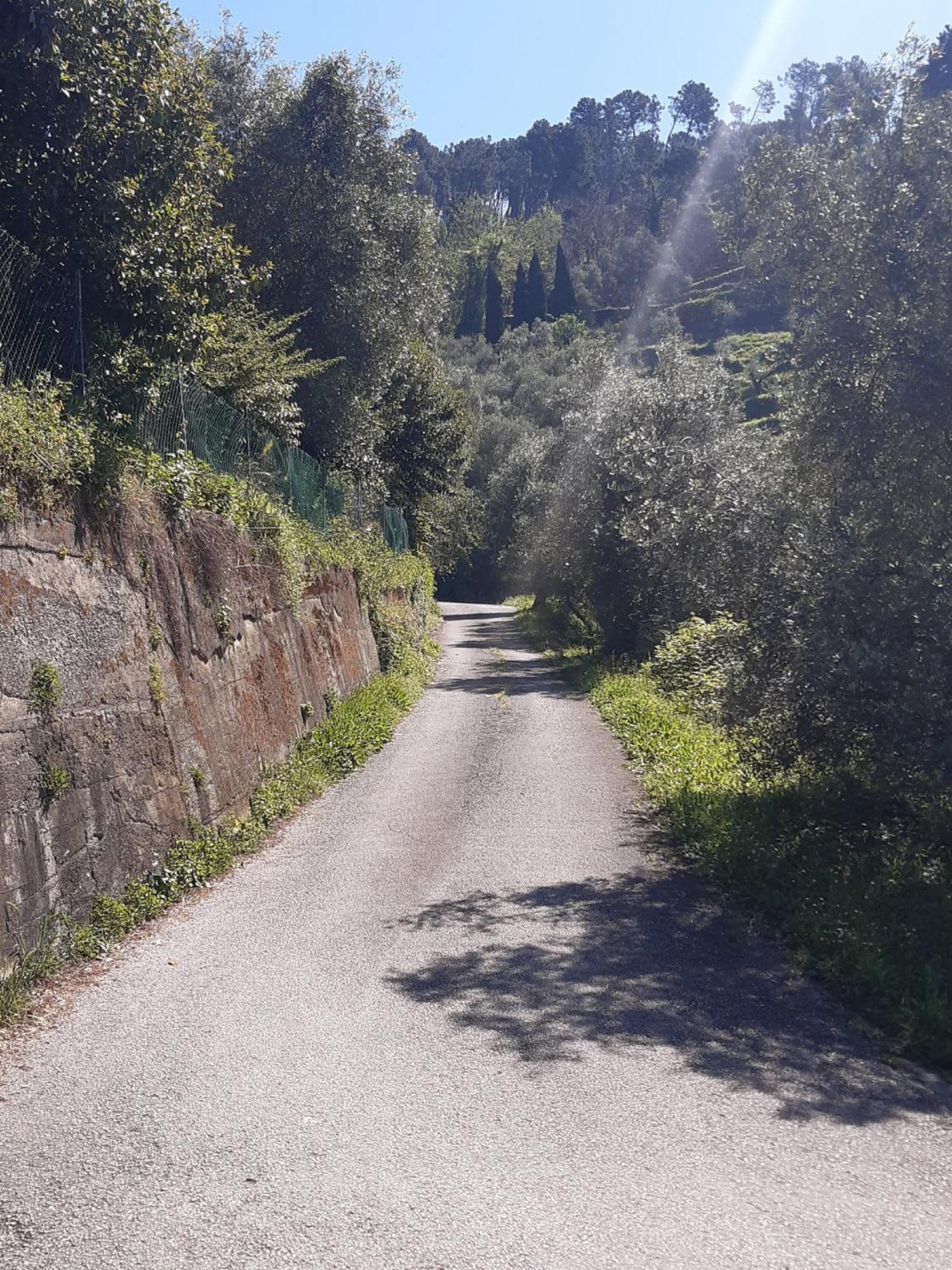 Belvedere 10 Pietrasanta Zewnętrze zdjęcie