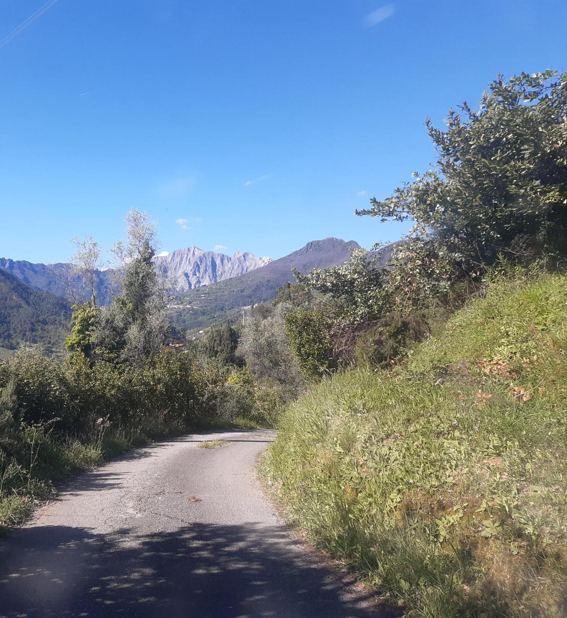Belvedere 10 Pietrasanta Zewnętrze zdjęcie