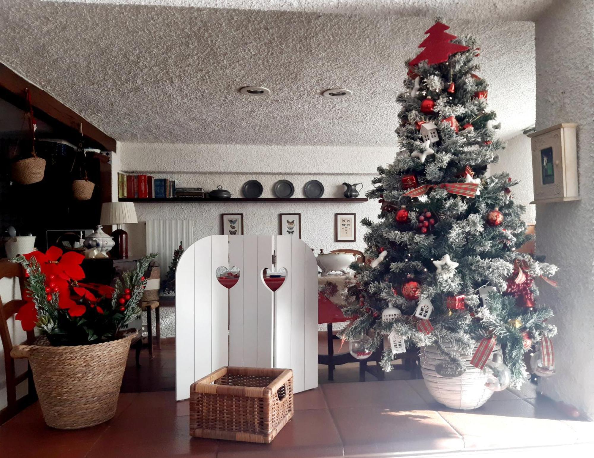 Belvedere 10 Pietrasanta Zewnętrze zdjęcie